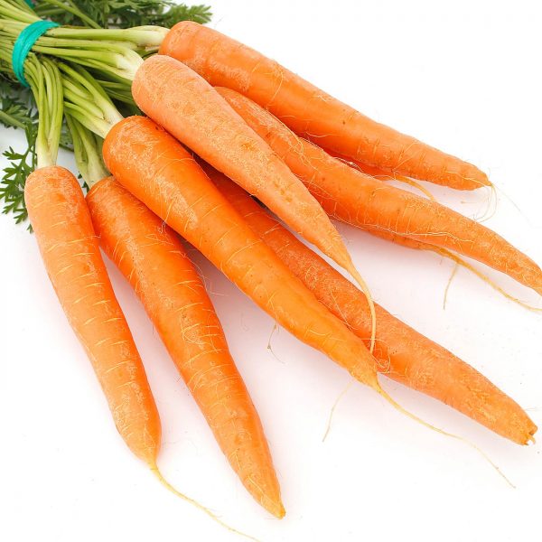 zanahoria tallo