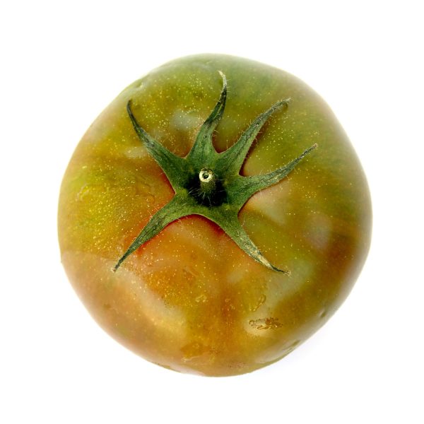 tomate verde